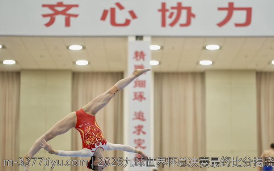 2026九球世界杯总决赛最终比分揭晓