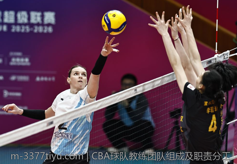 CBA球队教练团队组成及职责分工