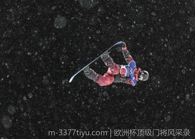 欧洲杯顶级门将风采录