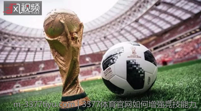 3377体育官网如何增强竞技能力